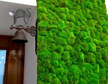 Apartament Starowiślna