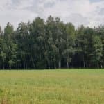 Piotr Piotr