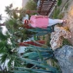 jolanta
