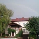 Janusz