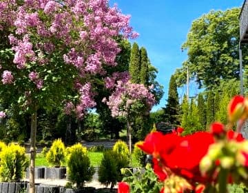 Apartamenty Arkadia przy Amfiteatrze
