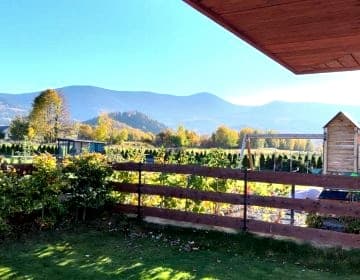 Prima View