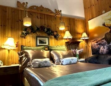 Apartamenty pod Wiciokrzewem