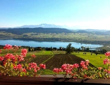 Pokoje u Chmielaków - Huba z widokiem na Jezioro Czorsztynskie Tatry i Pieniny Balia