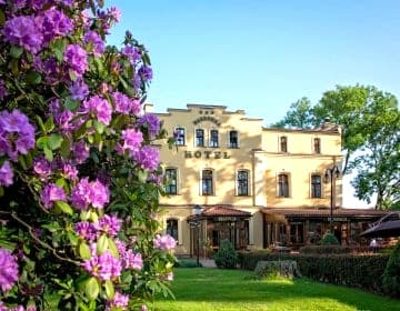 Kompleks Dąbrówka