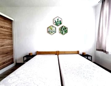 Przestronne mieszkanie na parterze domu z ogrodem