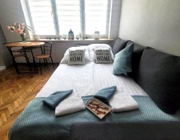 Apartament Park Saski