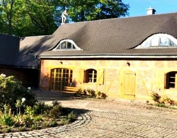 Violin house