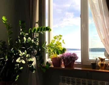 Apartament Alicji