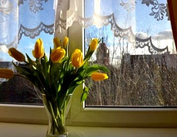 Apartament na Starym Mieście w Gdańsku