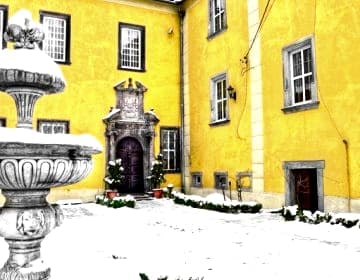 Pałac Lasów