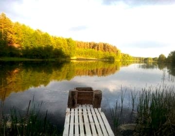 Kaszuby nad jeziorem Płęsno