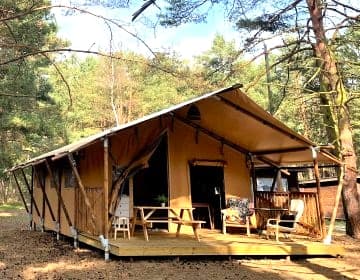 Camp Bursztynowy Las