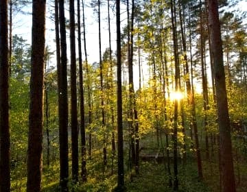 Domki Sasek Mazury