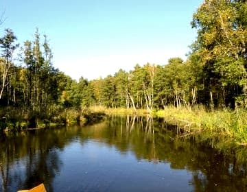 Perła Krutyni