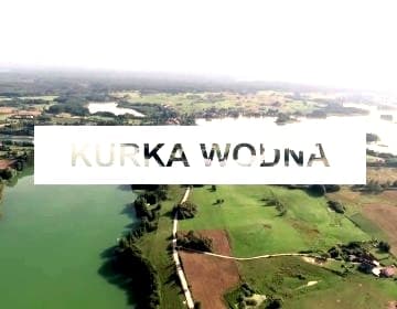 Domki na Mazurach Kurka Wodna 