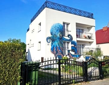 Willa Kraken