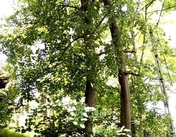 Samodzielny apartament centrum Gdańska ,Gdańsk ul.Długie Ogrody 18
