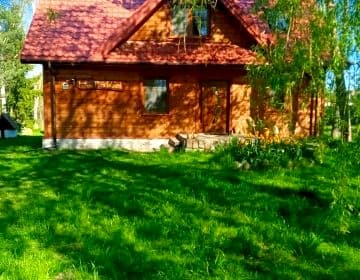 Biebrza safari