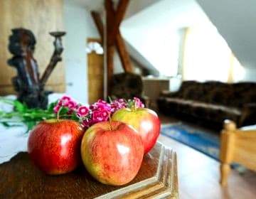Noclegi Mazury w spokojnym miejscu niedaleko jeziora