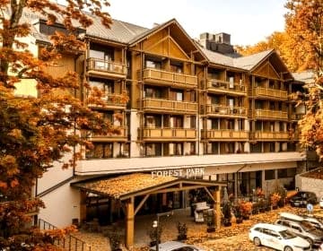 Forest Park Resort & SPA
