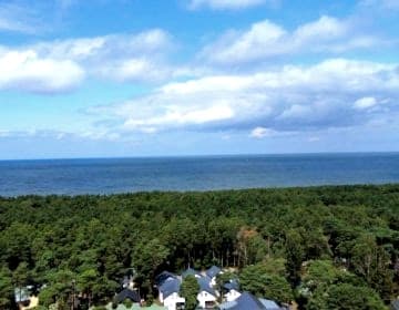 Apartament w sosnowym lesie