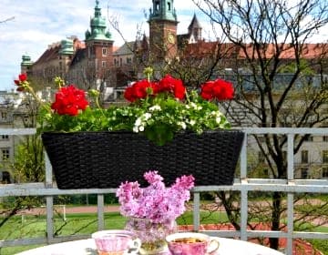 Castle View Boutique Apartment