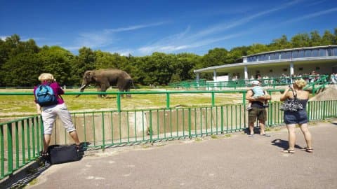 Śląski Ogród Zoologiczny