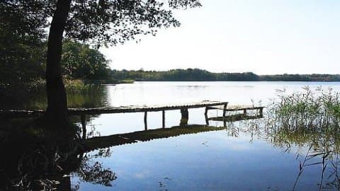 Poleski Park Narodowy
