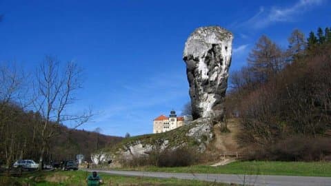 Maczuga Herkulesa