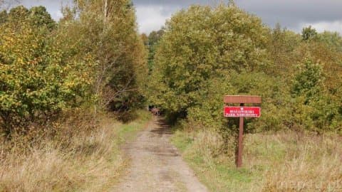 Białowieski Park Narodowy