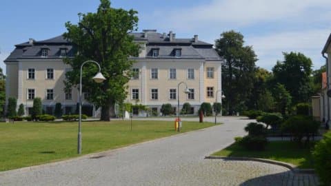 Krzyżowa