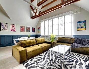 Lion Apartments - Scandi Love 