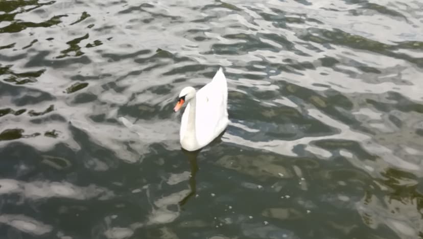 27.06.2018 14:05
