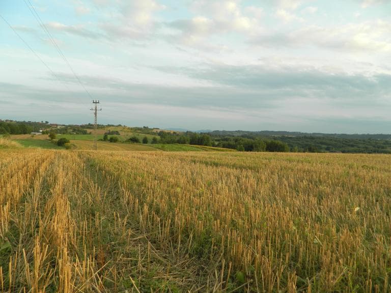 Wzgórza na południe od Puszczy