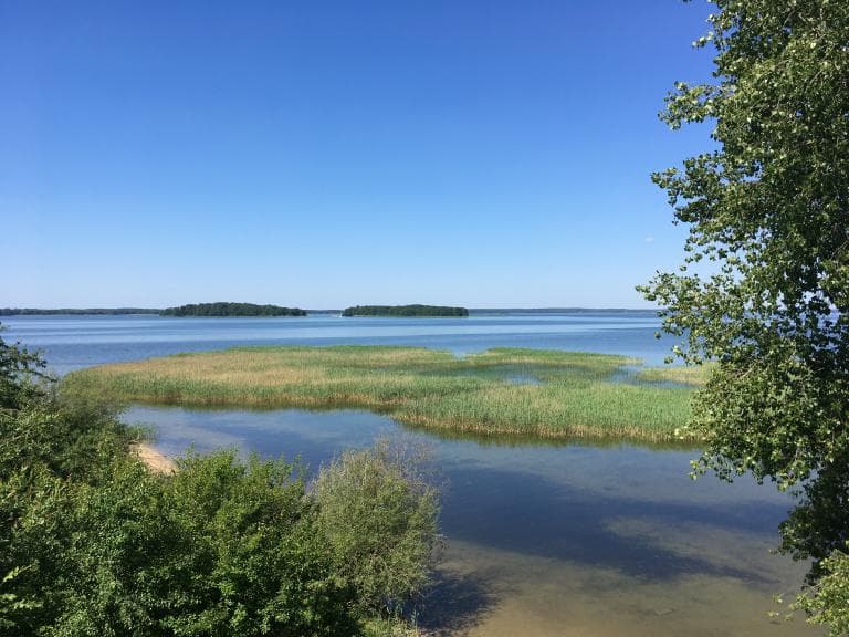 Orzysz- Nowe guty- Szeroki ostrów