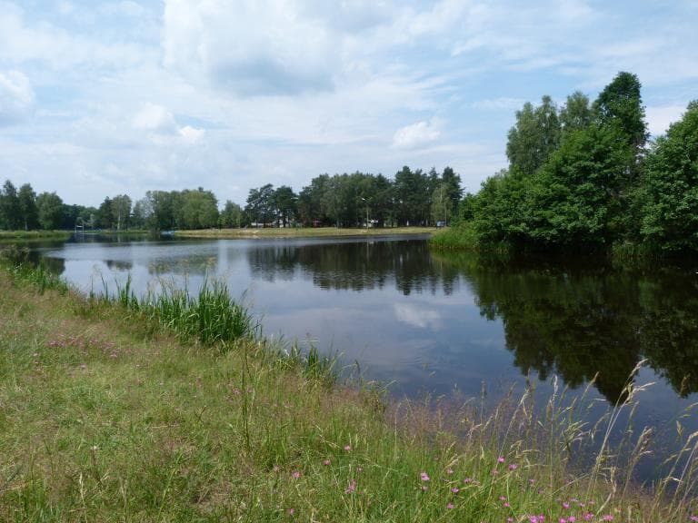 RZ- las Dąbry- z. Kamionka- Zabajka- RZ 