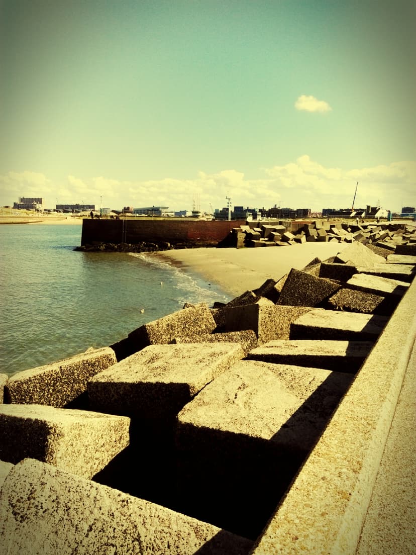 Hoek Van Holland- Vissershaven Scheveningen
