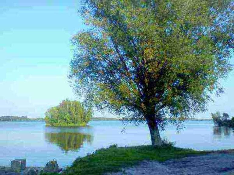 Tarło-Parczew-Ostrów Lubelski-Tarło