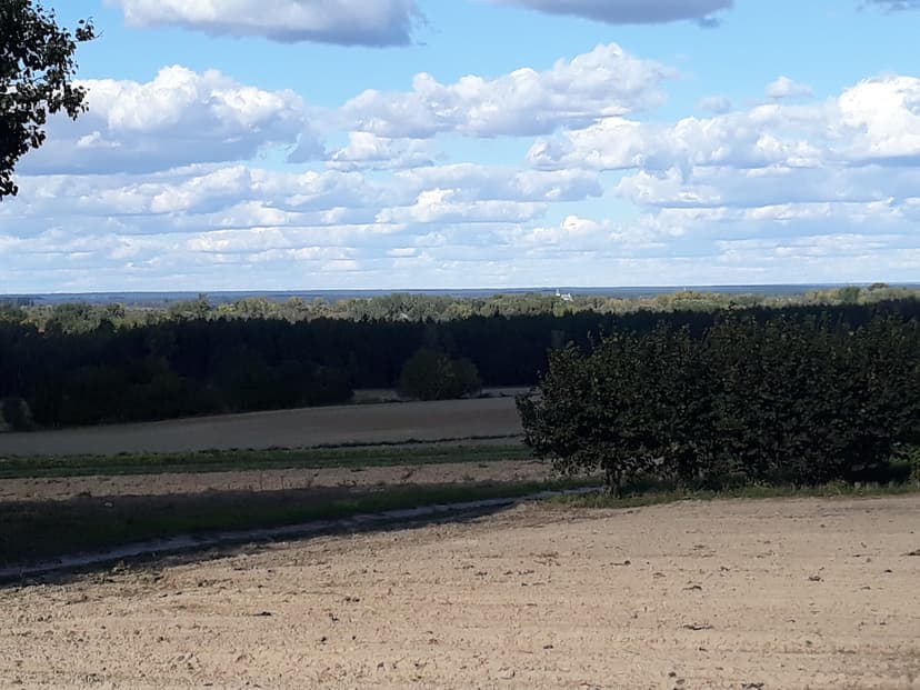 Kol. MARKOWOLA