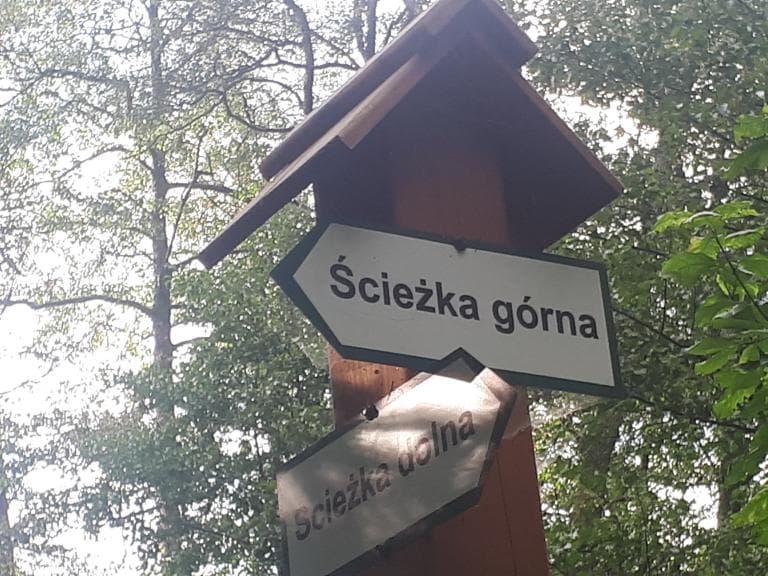 RudaRóżaniecka-Łówcza Narol-R.Różaniecka
