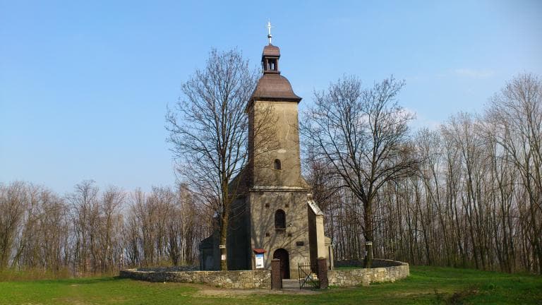Pszczelnik-Dorotka  