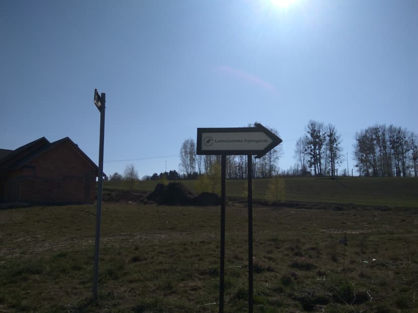 Dębogórze-Rewa-Pogórze