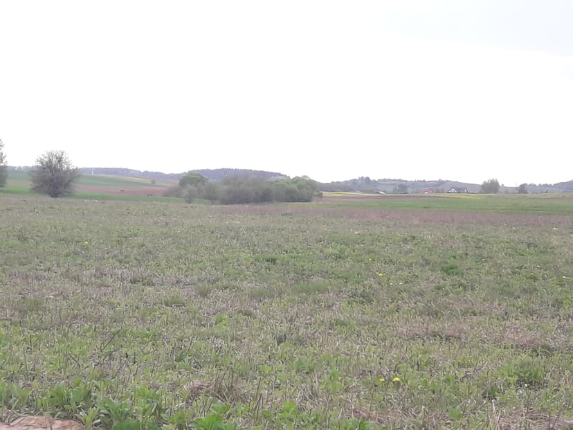 Elk-Miluki-Konieczki wieś-Konieczki-Elk
