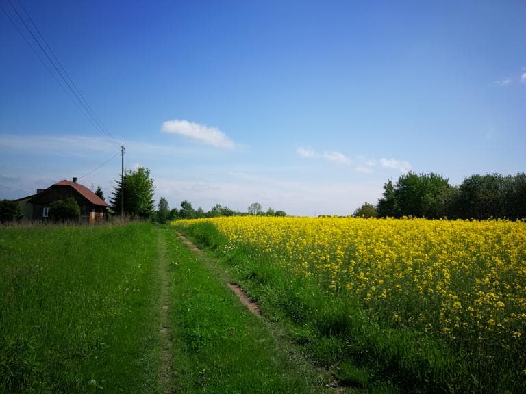 Biała-Malawa-Podgrabina-Jasionka-Biała