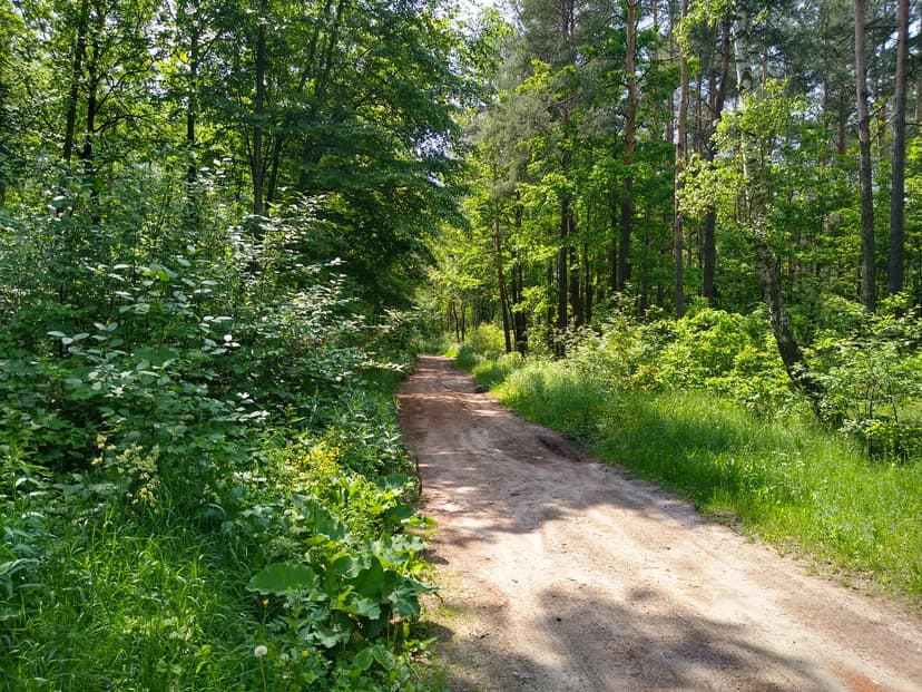 Niedziela Po Okolicy
