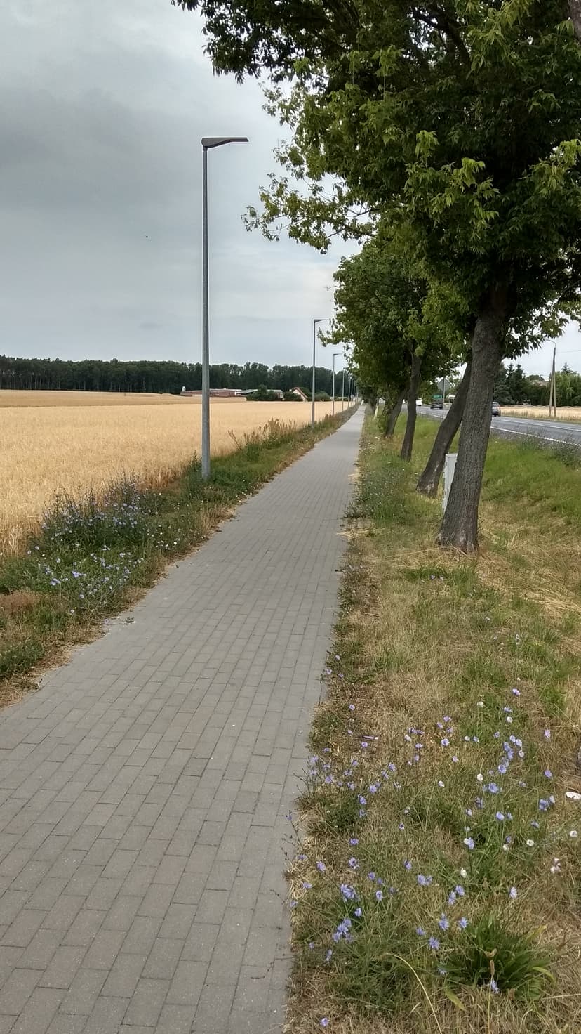 Osiek - Miłosław - Osiek 