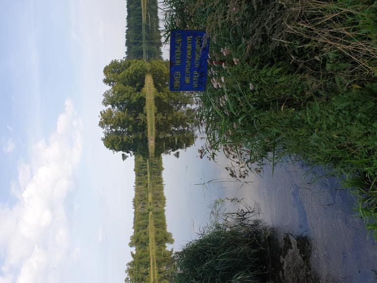 Moja