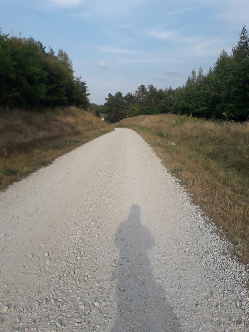 26.08.2019 17:05