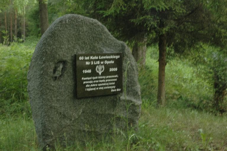 Opole - Metalchemskie lasy - Kosorowice
